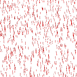 SORROW (GRACE)
